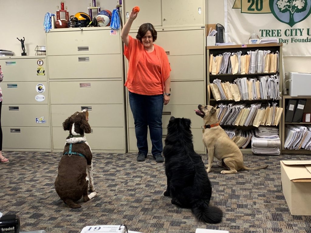 2019 Florence Take your Dog to Work Day